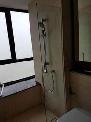 Spottiswoode Residences (D2), Condominium #520130181